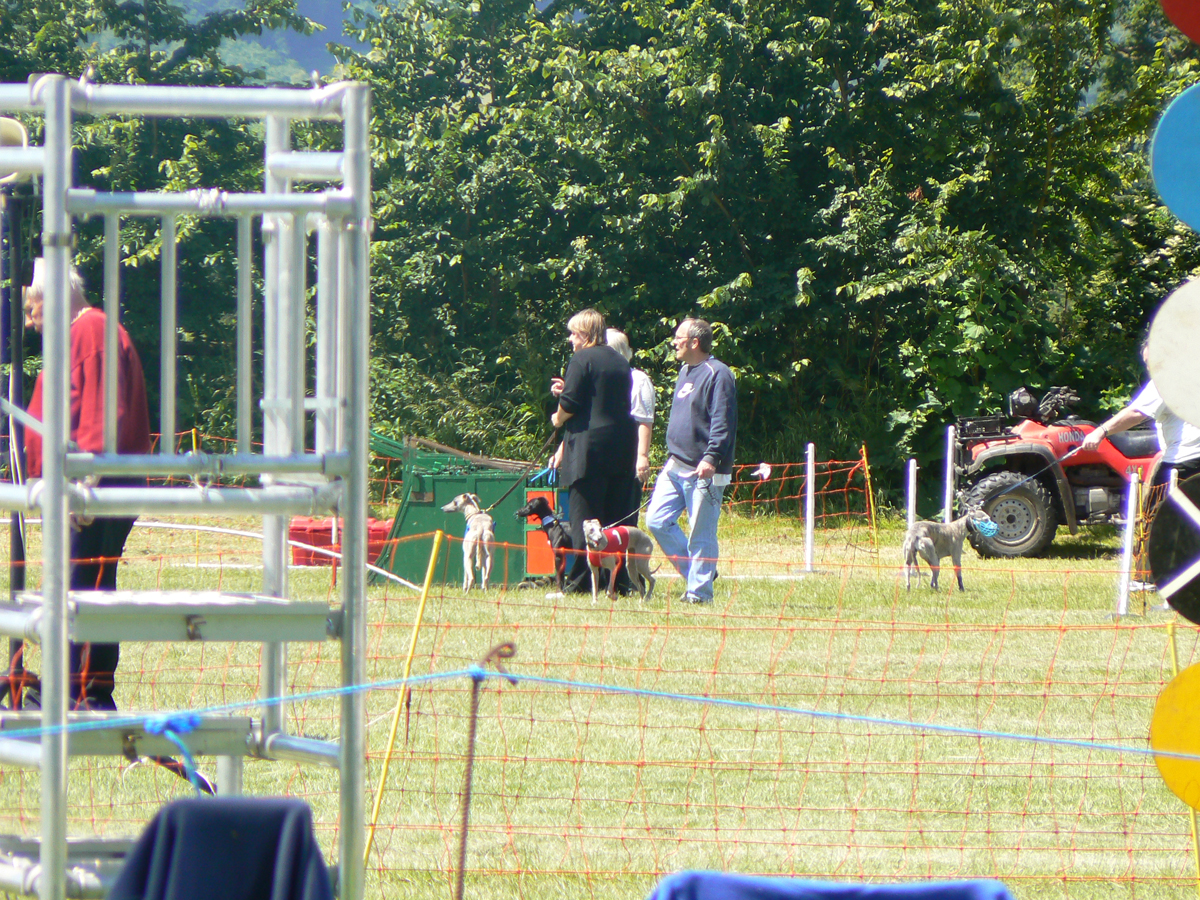 Letter to the Affiliated Club Secretaries from the WCRA Secretary