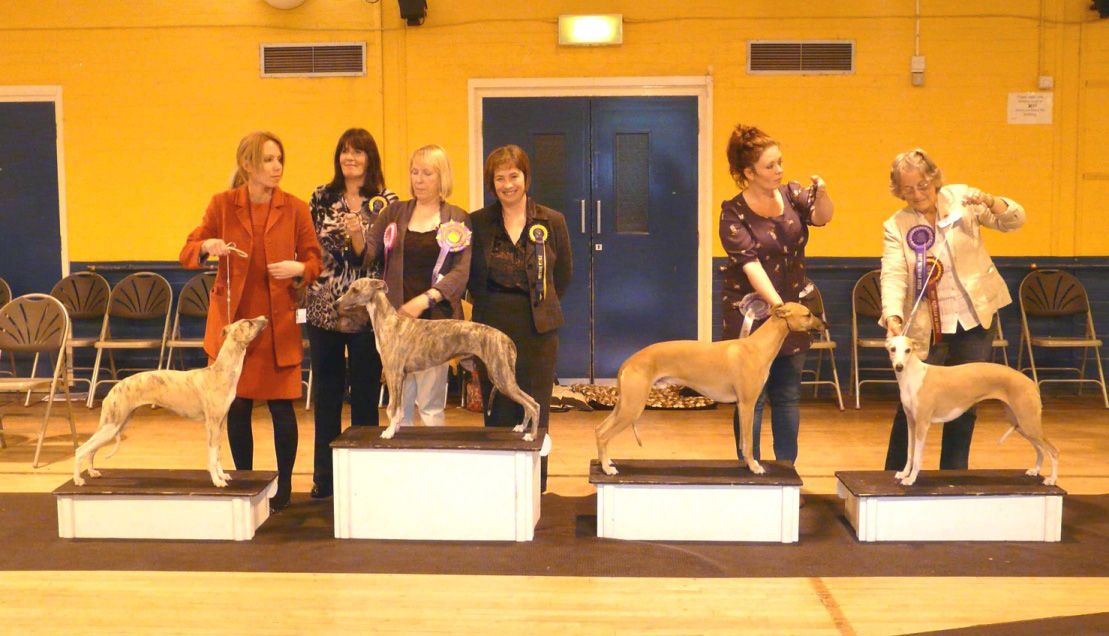 Open Show – Saturday 29th September 2012