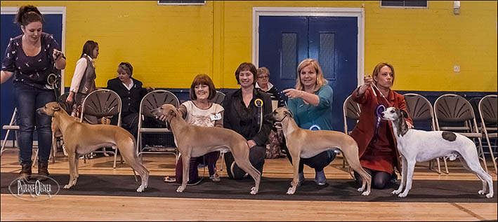 Members Limited Show Schedule: January 2013