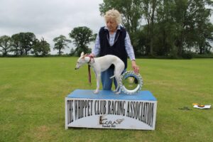 Tinkers Cloudy Moon on winners box