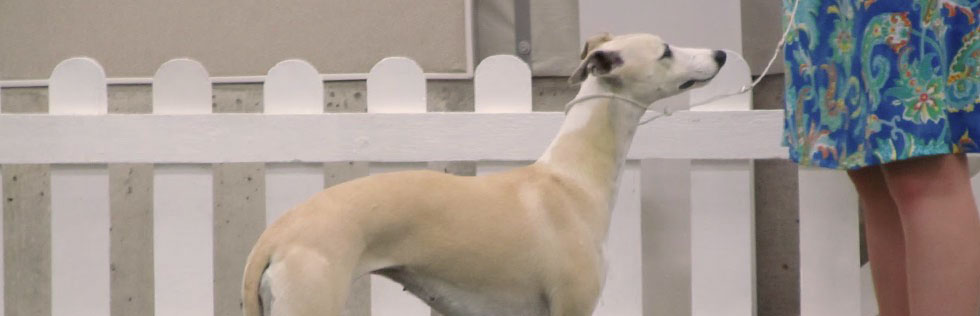 Members Limited Show – Saturday 14th January 2012