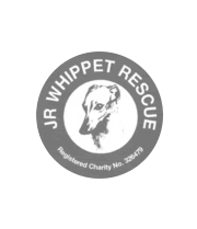 JR Whippet Rescue, founded by Joanna Russell