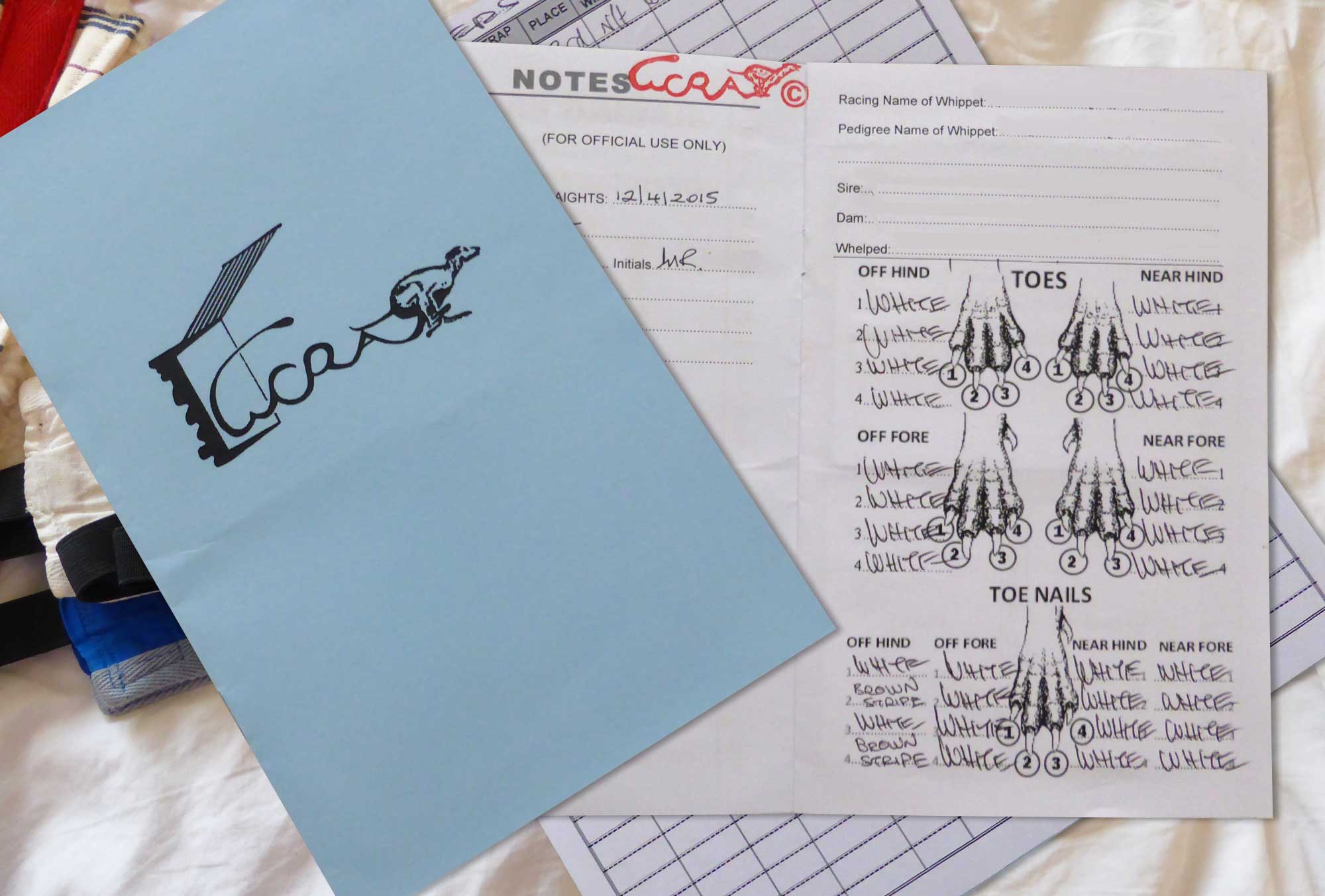 LATEST NEWS FROM THE WCRA – August 2016