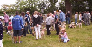 Whippet Fun Day General View