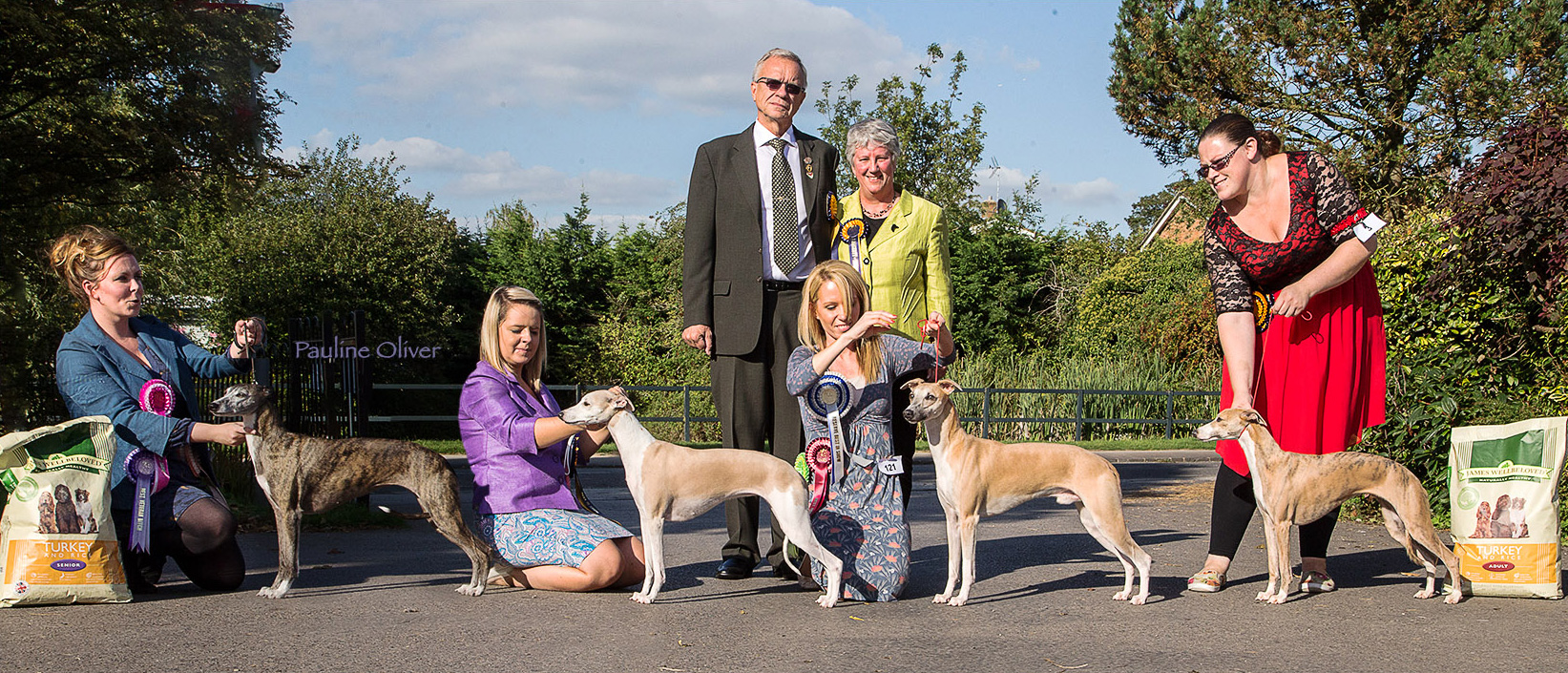 Whippet Club Open Show 2015