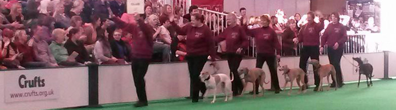 Obreedience Team Qualifies for Crufts 2016