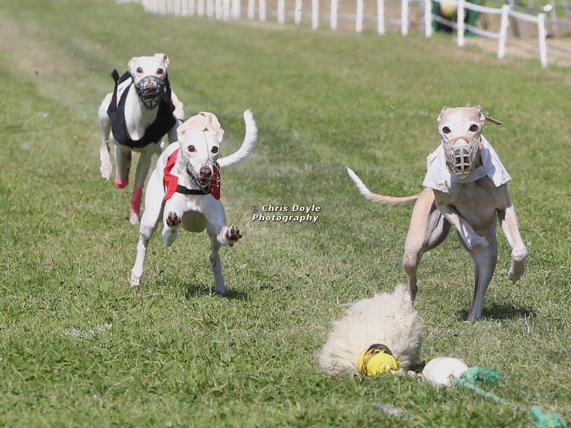 3rd WCRA Championships and Veteran Crowns 2016 Full Results