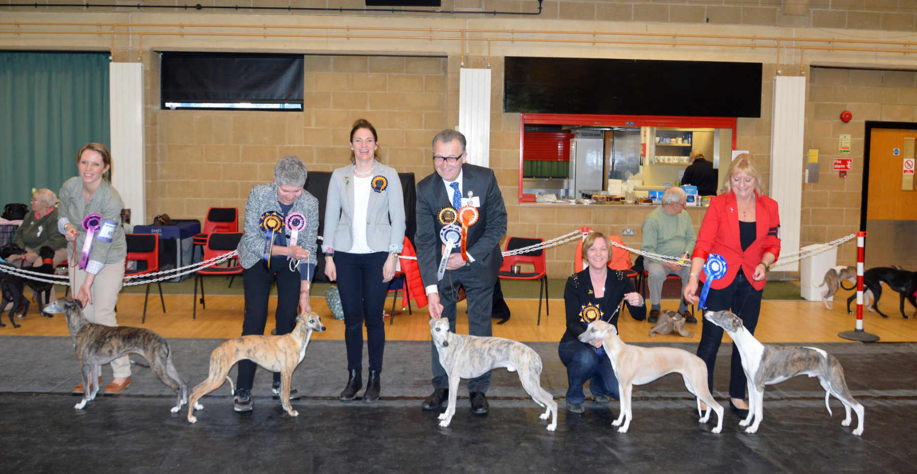 The Whippet Club Limited Show Results – Saturday 21th January 2017