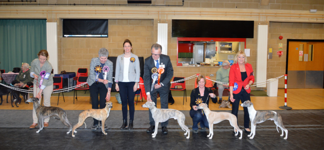 Critique – Limited Members Show 21st January 2017