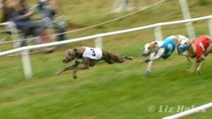 3rd WCRA Championships 2018 30lb Final