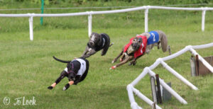 WCRA 4th Championship 2018 - Race 1