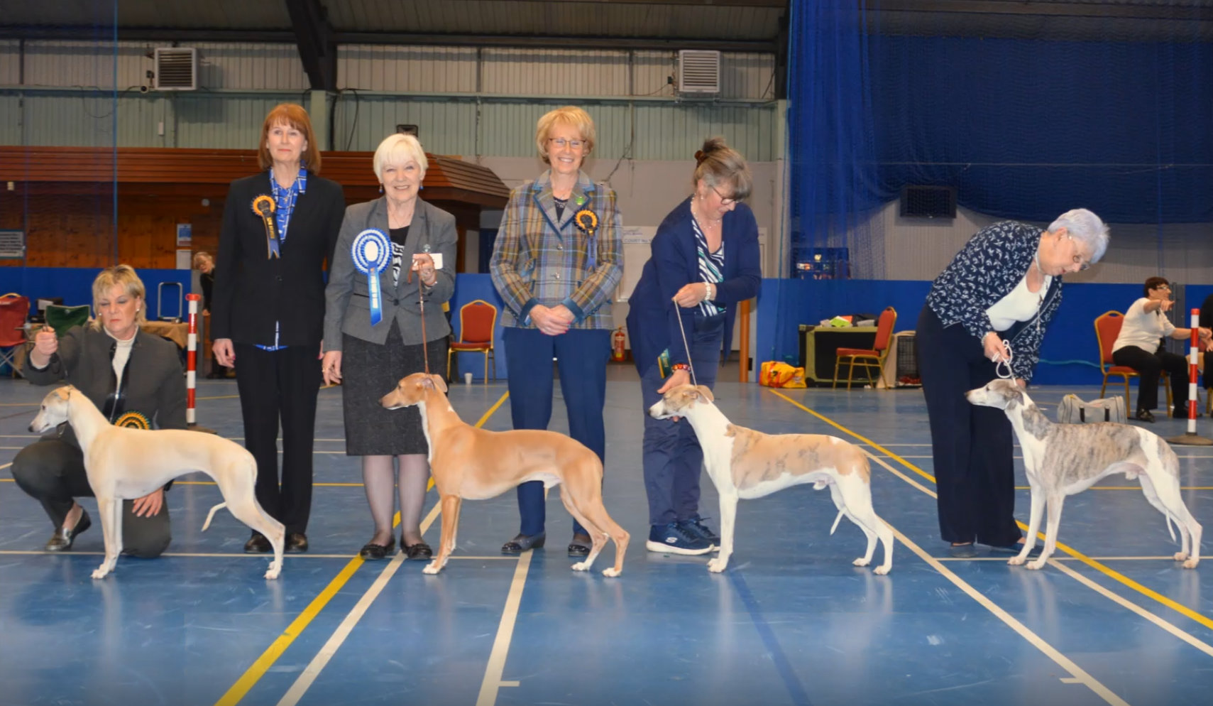 The Whippet Club Championship Show Saturday 6th April 2019 – Results