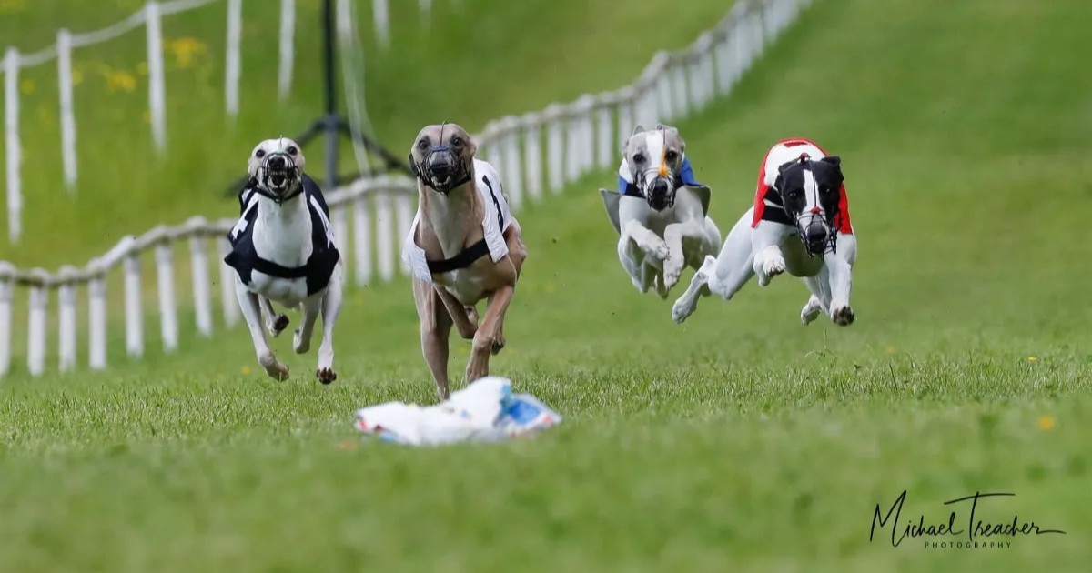 4th WCRA Championships & Veteran Crowns 2021 – Full Write Up and Results