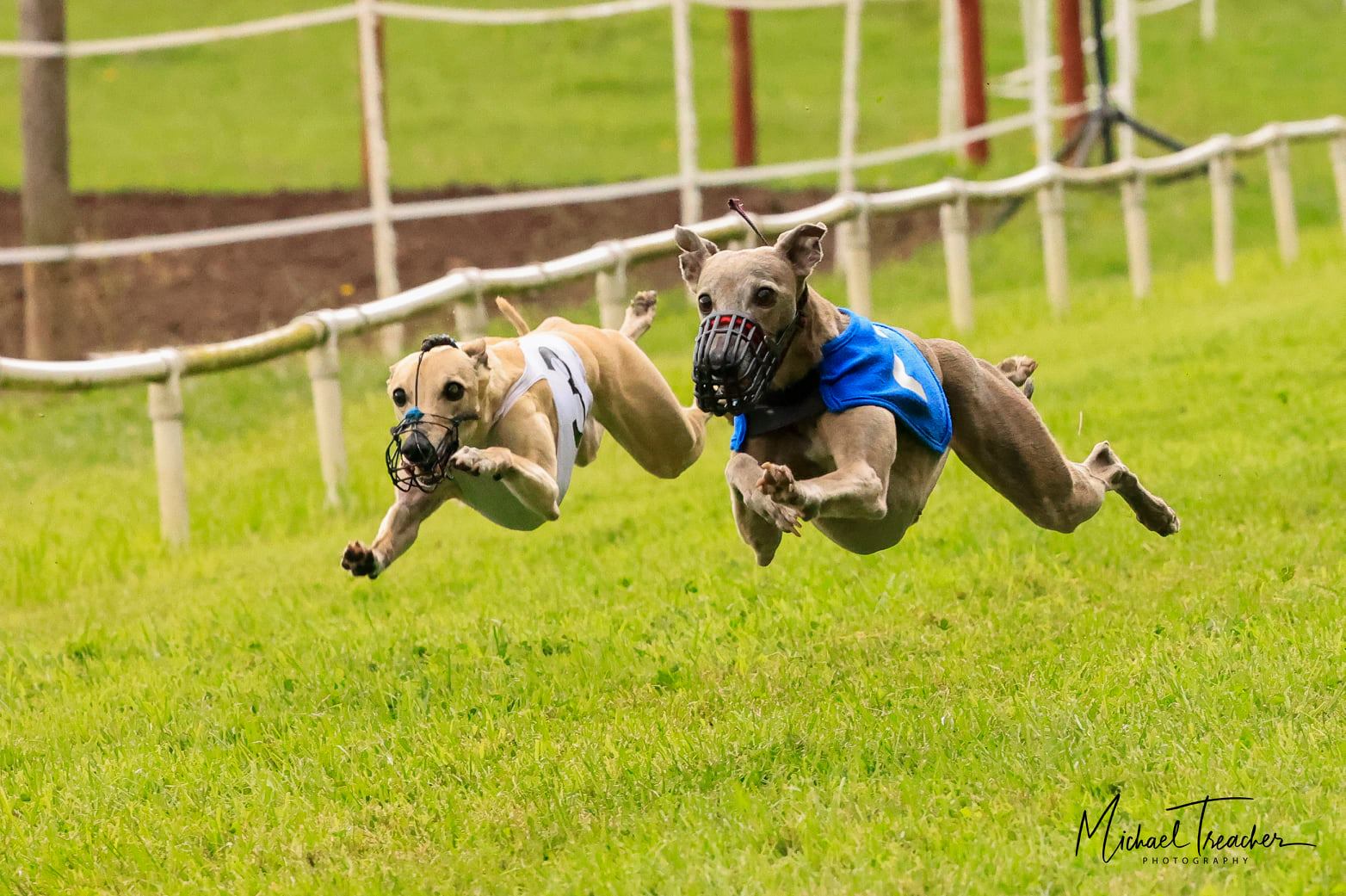 WCRA Championship Provisional Dates for 2023