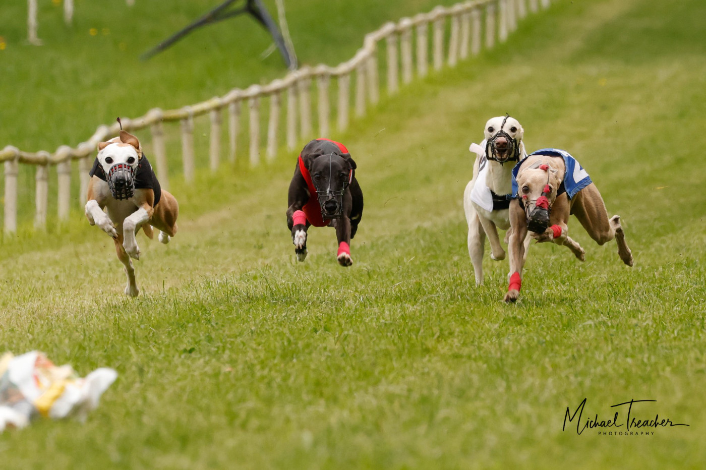 The Whippet Club Racing Association (WCRA) Date and formats for 2023