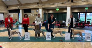 January 20 2024 Line Up