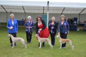 Partnership Championship Show May 2024