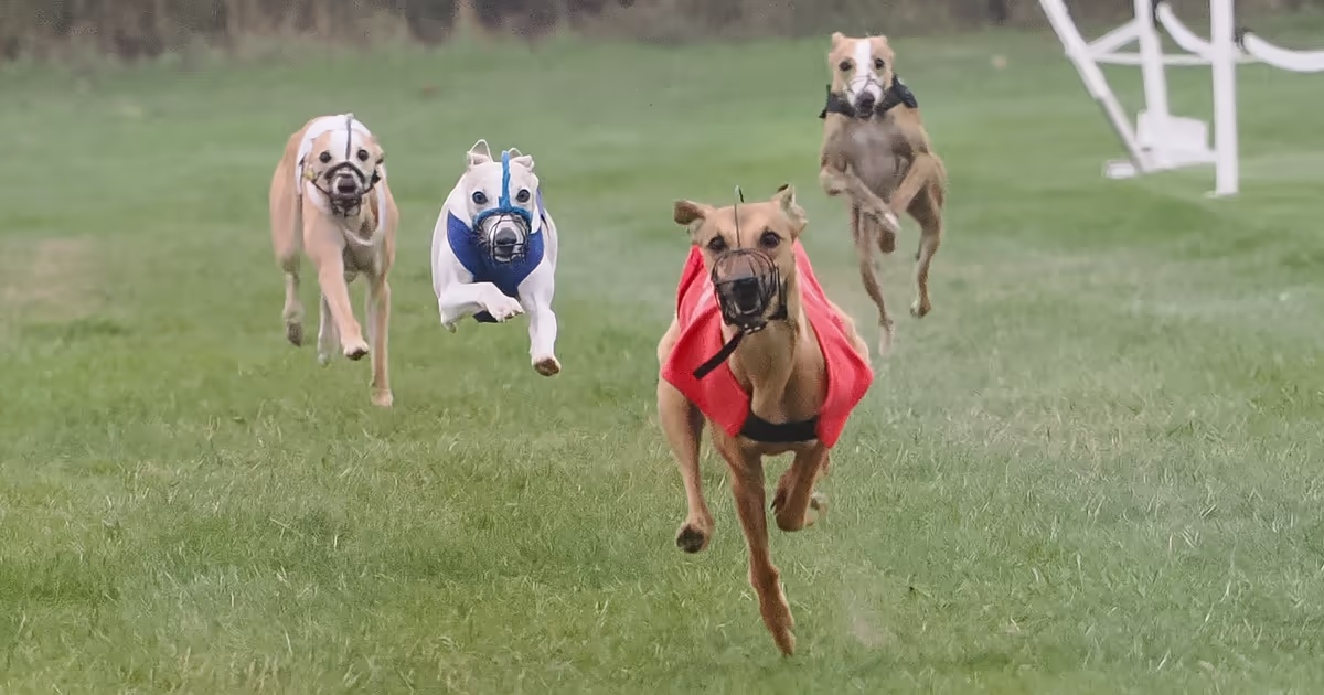 WCRA 4th Championships Featured Image