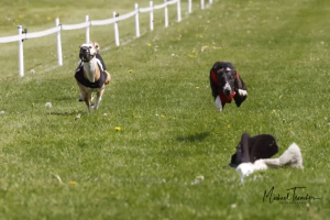 Wcra Coronation Championships 7th May 2023 52890751987 O