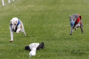 Wcra Coronation Championships 7th May 2023 52890759812 O