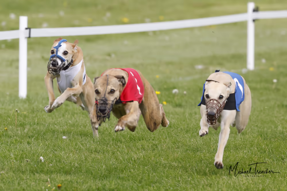 WCRA Championships and Veteran Sprint entry forms for 2026