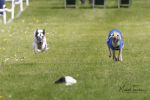 Wcra Coronation Championships 7th May 2023 52891330551 O