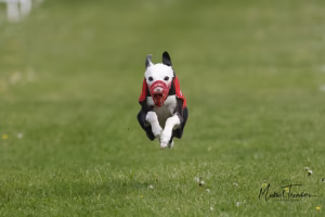 Wcra Coronation Championships 7th May 2023 52891330556 O