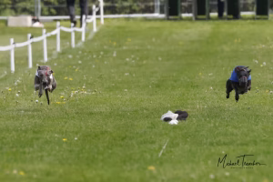 Wcra Coronation Championships 7th May 2023 52891483444 O