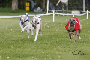 Wcra Coronation Championships 7th May 2023 52891750250 O