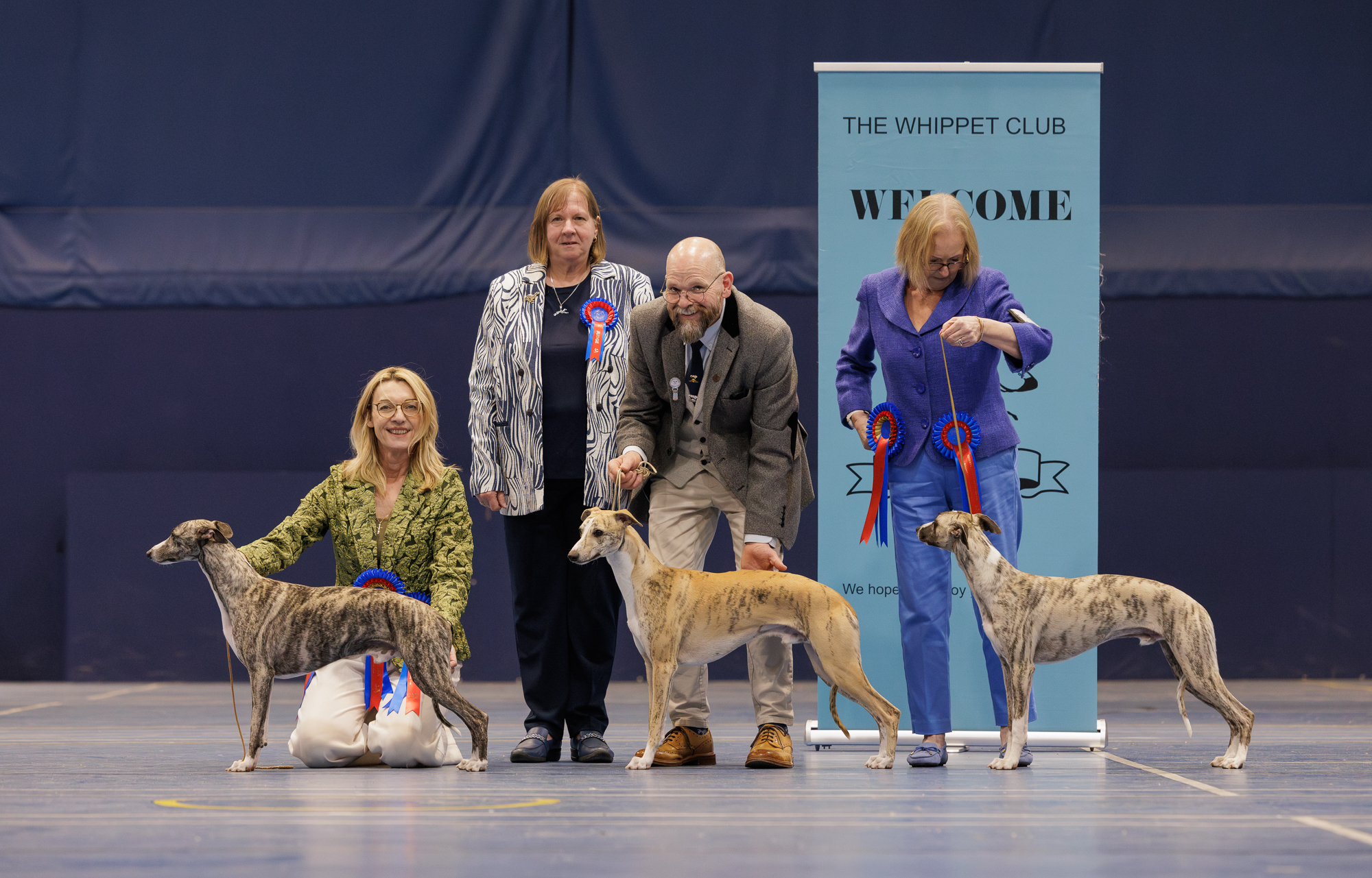 The Whippet Club Championship Show, 4th April 2026: Dog Critique