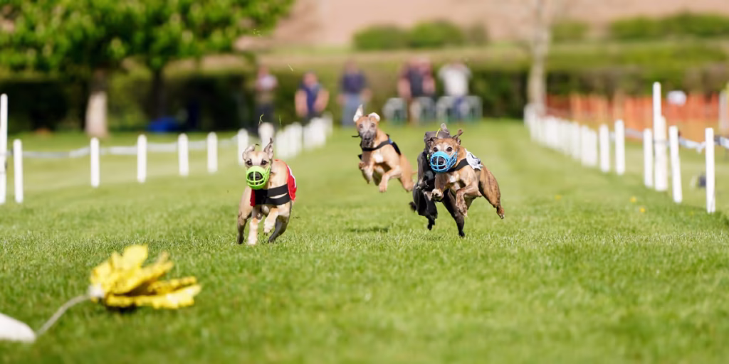 WCRA Championships 2026 1 Racing 009