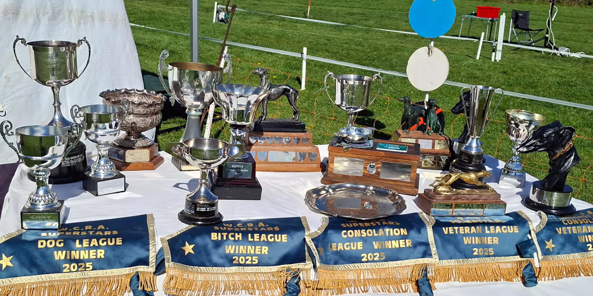 WCRA Superstars League 2026 – Placings after 1st WCRA Championships and Veteran Crowns