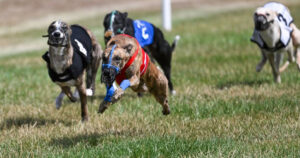 3rd WCRA Championships 2026 Racing Photo 1