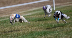 3rd WCRA Championships 2026 Racing Photo 4